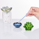 Disposable Plastic Transfer Pipettes